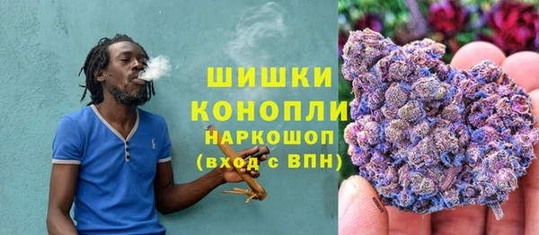 крисы Абаза