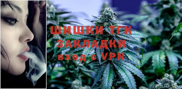 ГАЛЛЮЦИНОГЕННЫЕ ГРИБЫ Алексин
