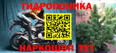 Альфа ПВП Донской