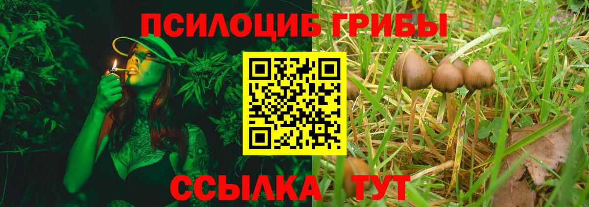 Галлюциногенные грибы MAGIC MUSHROOMS  как найти закладки  Рязань  Вход с VPN 